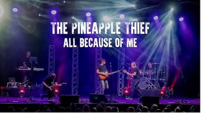 THE PINEAPPLE THIEF cover