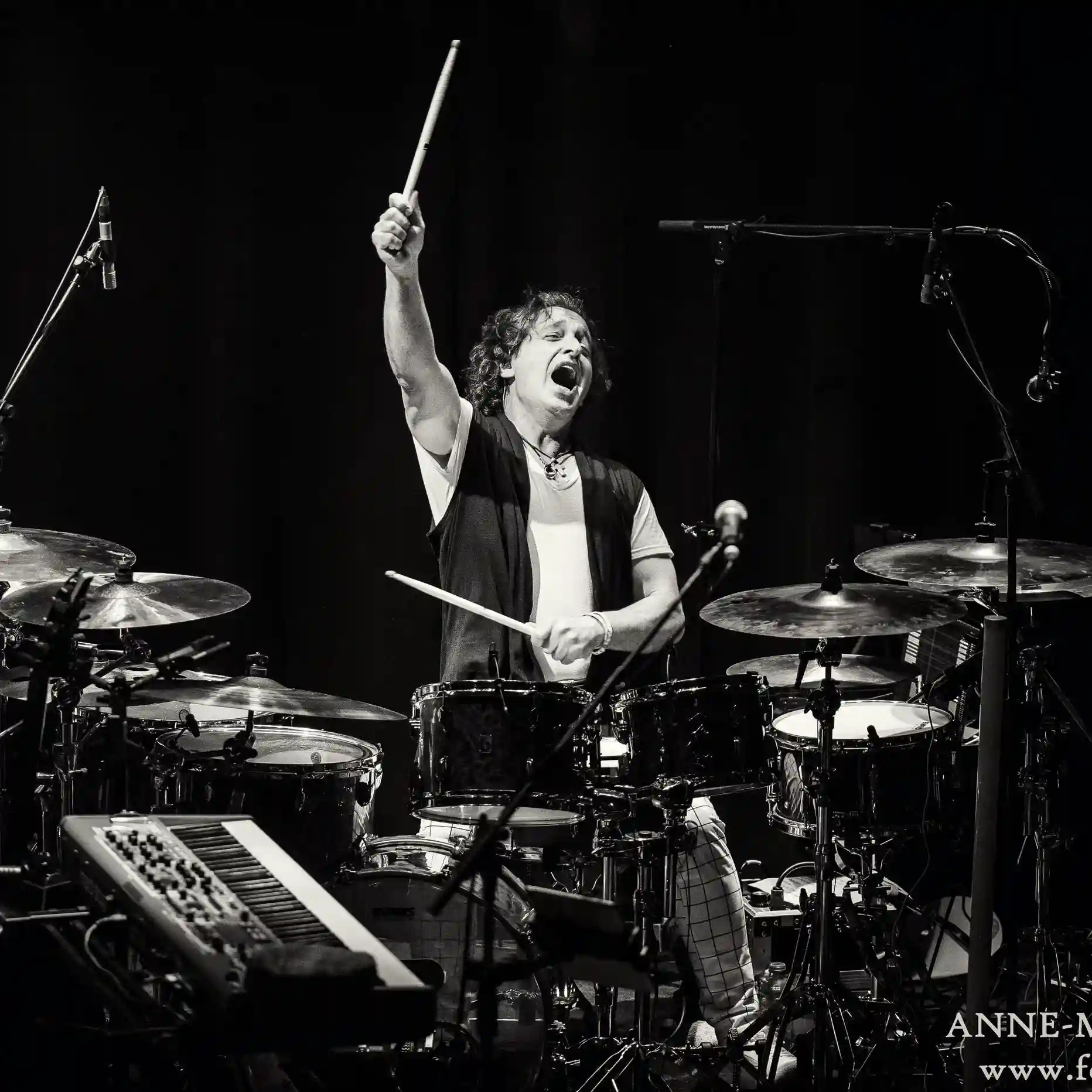Nick D’Virgilio Band Members