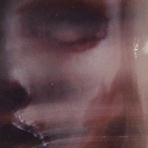 Graphic Nature Album Cover