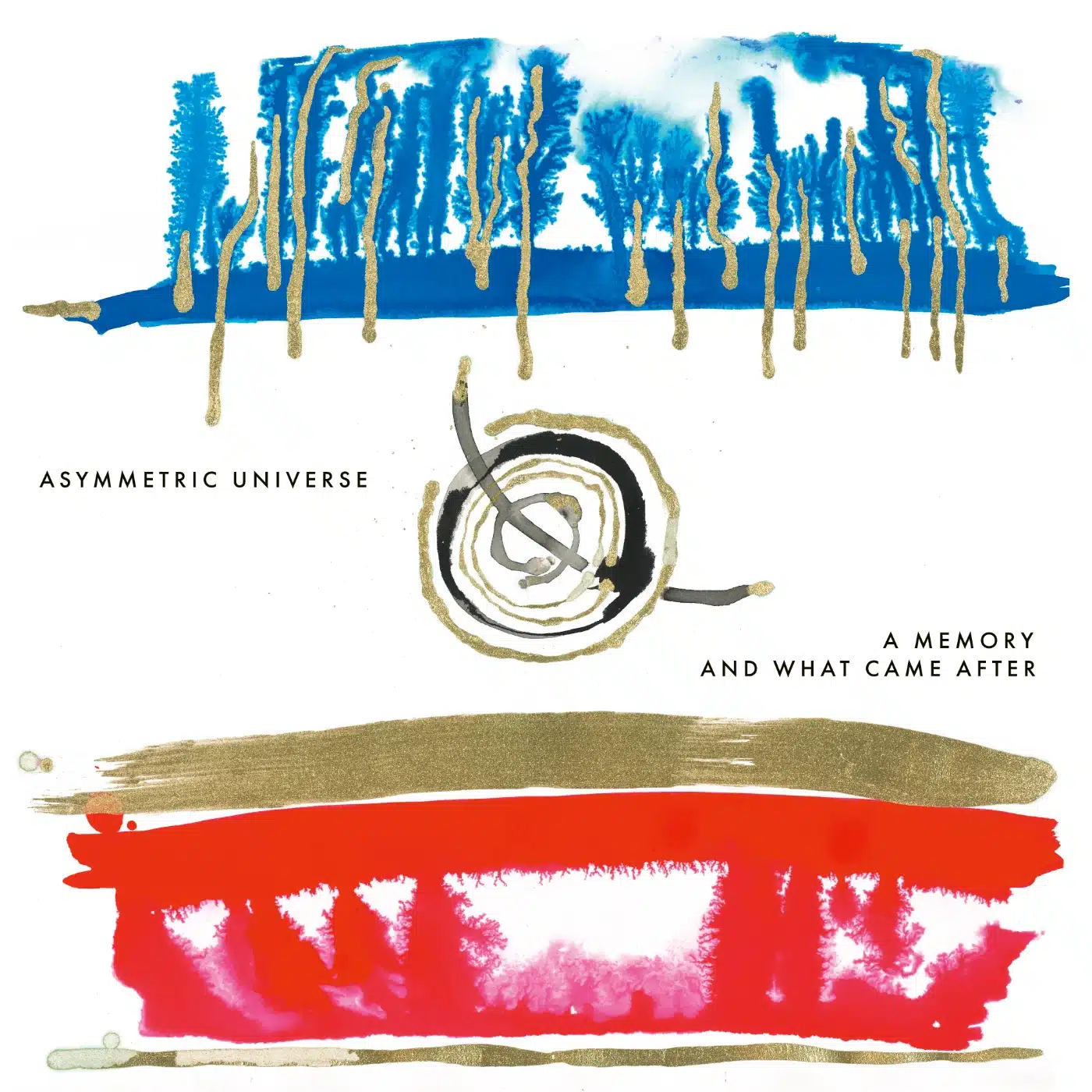 Asymmetric Universe A Memory And What Came After cover