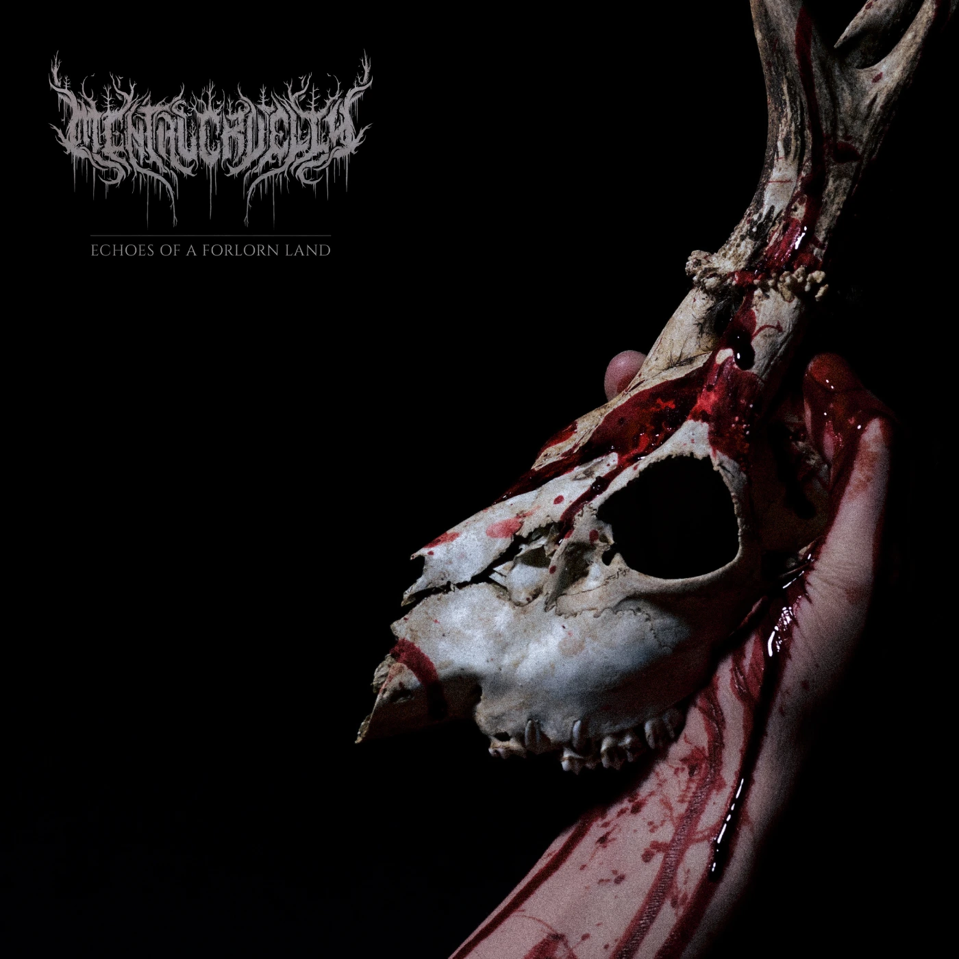 Mental Cruelty Echoes Of A Forlorn Land album cover