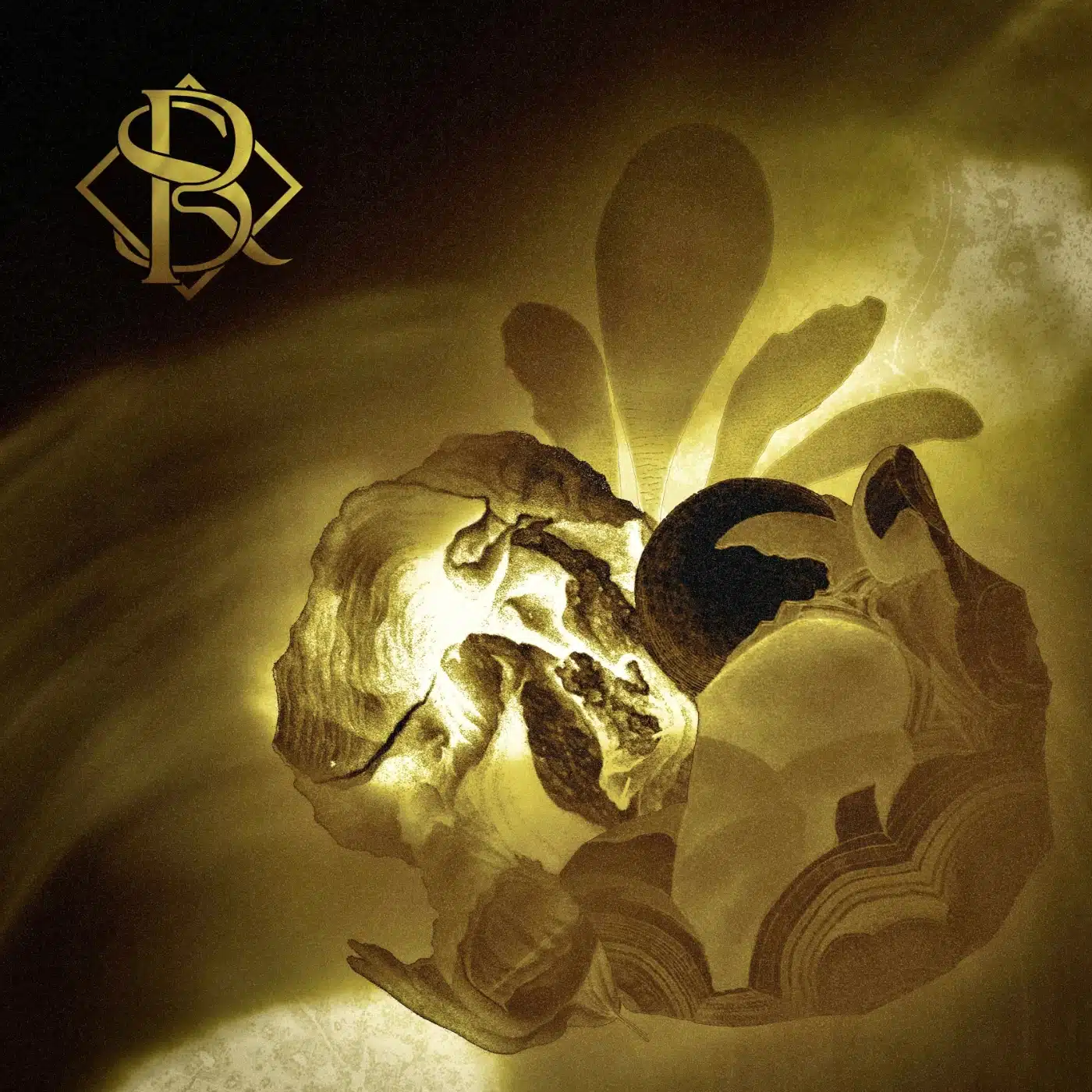 Royal Sorrow Covert single cover art