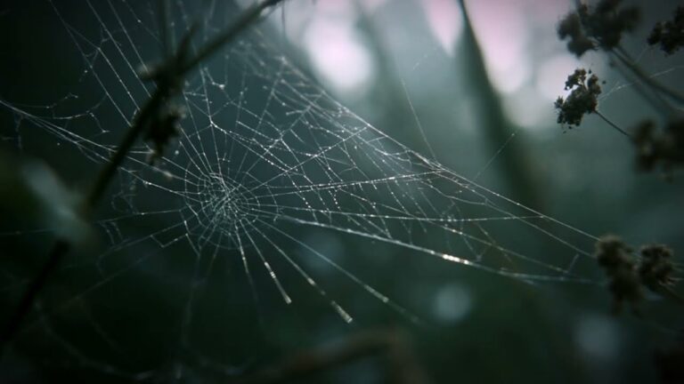Still from the Requiem for a Village teaser